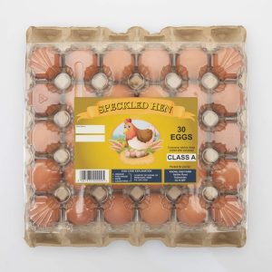 Free Range Dated Stamped Egg 30 Pack