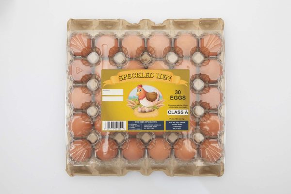 Free Range Dated Stamped Egg 30 Pack