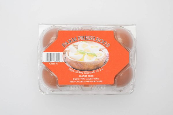 Colony Large Eggs 6 Pack