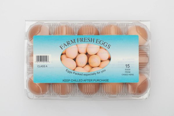 Colony Medium Eggs 15 Pack
