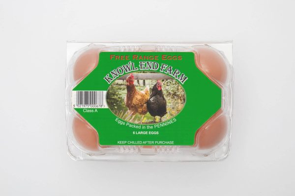 Free Range Large Eggs 6 Pack