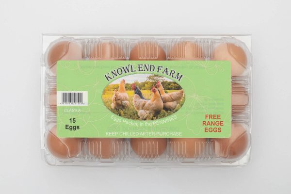 Free Range Medium Eggs 15 Pack