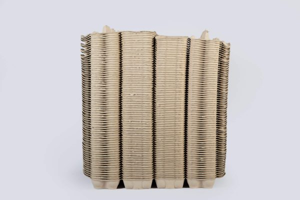 Extra Large Pulp Egg Boxes - Image 2