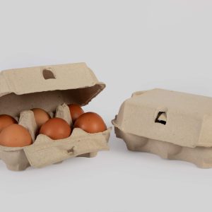 Standard Pulp Egg Boxes